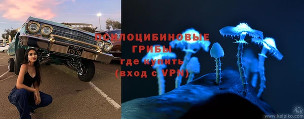 гидра Абдулино