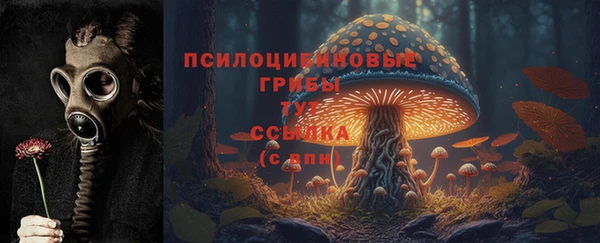 гидра Абдулино