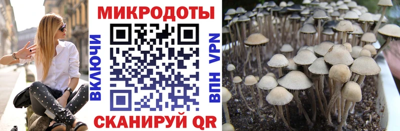 Псилоцибиновые грибы Psilocybine cubensis  мориарти формула  Приморско-Ахтарск 