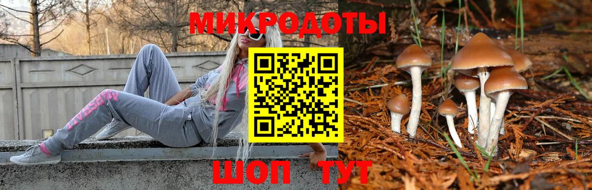 Галлюциногенные грибы Psilocybine cubensis Приморско-Ахтарск