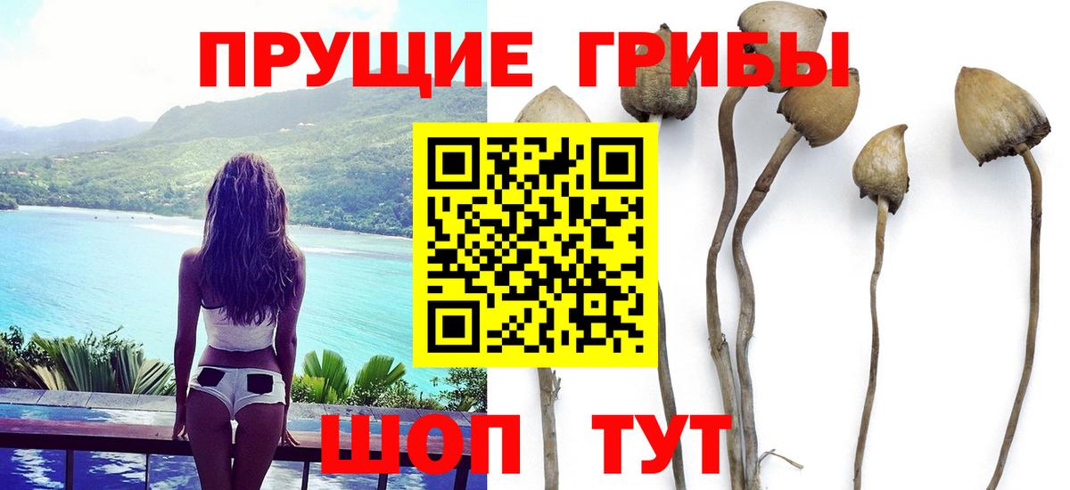 Приморско-Ахтарск  Псилоцибиновые грибы Psilocybe  Псилоцибиновые грибы Magic Shrooms  Вход с VPN 